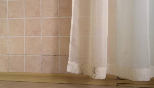 Best Air Quality Testing for Mold Spores  in Gulf Breeze, FL