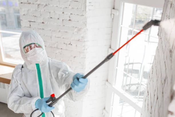 Best Comprehensive Air Testing for Mold Contaminants  in Gulf Breeze, FL